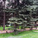 Altyn Kargaly 