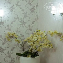 Amsterdam Hotel Aktobe