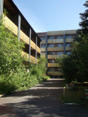 Zelyonyi bor