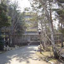 Zelyonyi bor