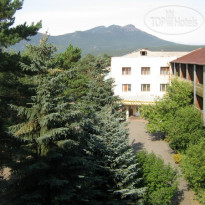Zelyonyi bor