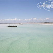 Lion in the Sun Retreat 