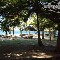 Driftwood Beach Club