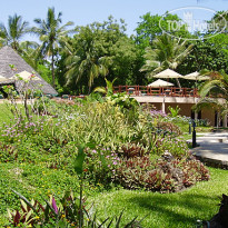 PineWood Beach Resort & Spa
