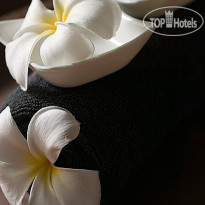 PineWood Beach Resort & Spa