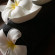 PineWood Beach Resort & Spa 