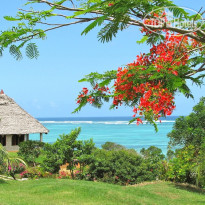 Tijara Beach Индийский Океан постоянно меня