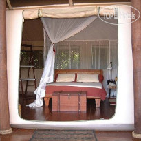 Olonana Camp 