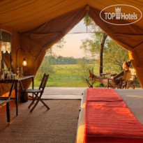 Elephant Pepper Camp Masai Mara by Elewana 