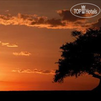 Fairmont Mara Safari Club 