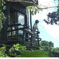 Treetops