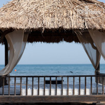 Sea Breeze