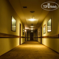 Avenue Hotel (Авенью Отель) 