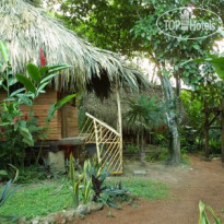 Parrot Nest Lodge 
