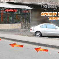 Apricot Hostel 