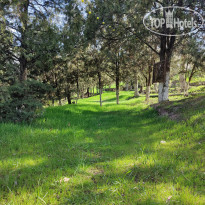 Organic House & Aquapark Наш мини-парк