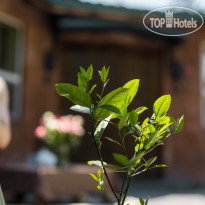 Organic House & Aquapark 