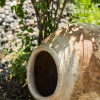 Organic House & Aquapark 