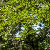 Organic House & Aquapark 