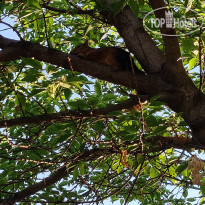 Organic House & Aquapark 