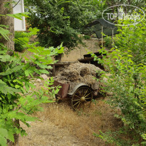 Organic House & Aquapark 