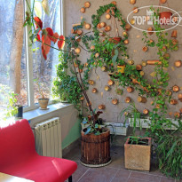 Дом творчества писателей (Writers House)