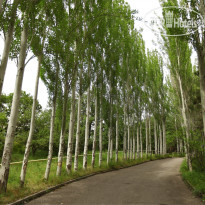 Park Resort Aghveran овременный гостиничный комплек