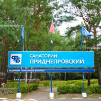 Приднепровский 