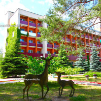 Приднепровский 