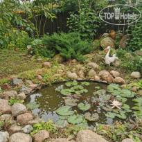 АгроЭкоУсадьба В хуторской тиши 