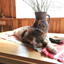 АгроЭкоУсадьба В хуторской тиши 