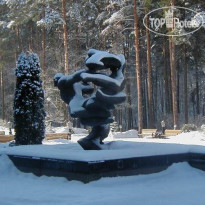 Сосны