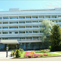 Сосны