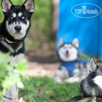 Экспедиция 