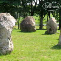 Королевская Ассамблея Сула 