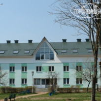 Дружба