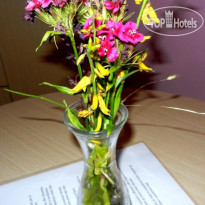 London Guest House