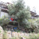 TownHouse Hotel-Restaurant 