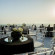 Lotus Beach Resort 
