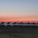Пляж в Lotus Beach Resort 4*