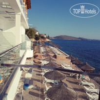 Delfini Hotel  