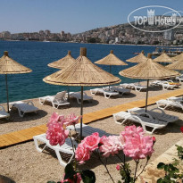 Delfini Hotel  