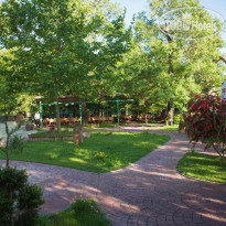 Livia Hotel 