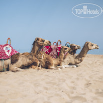 Iberostar Waves Saidia 