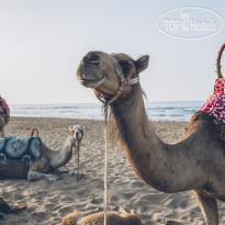 Iberostar Waves Saidia 