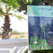 Iberostar Waves Saidia 