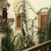 Riad Marlinea