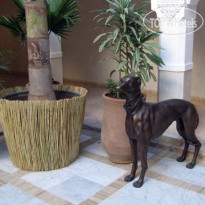 Riad Villa Blanche