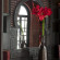 Riad Fes 