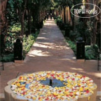 Les Jardins de la Medina 